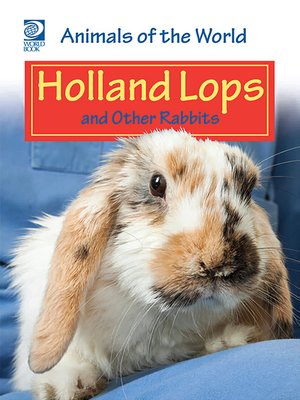 cover image of Holland Lops and Other Rabbits
